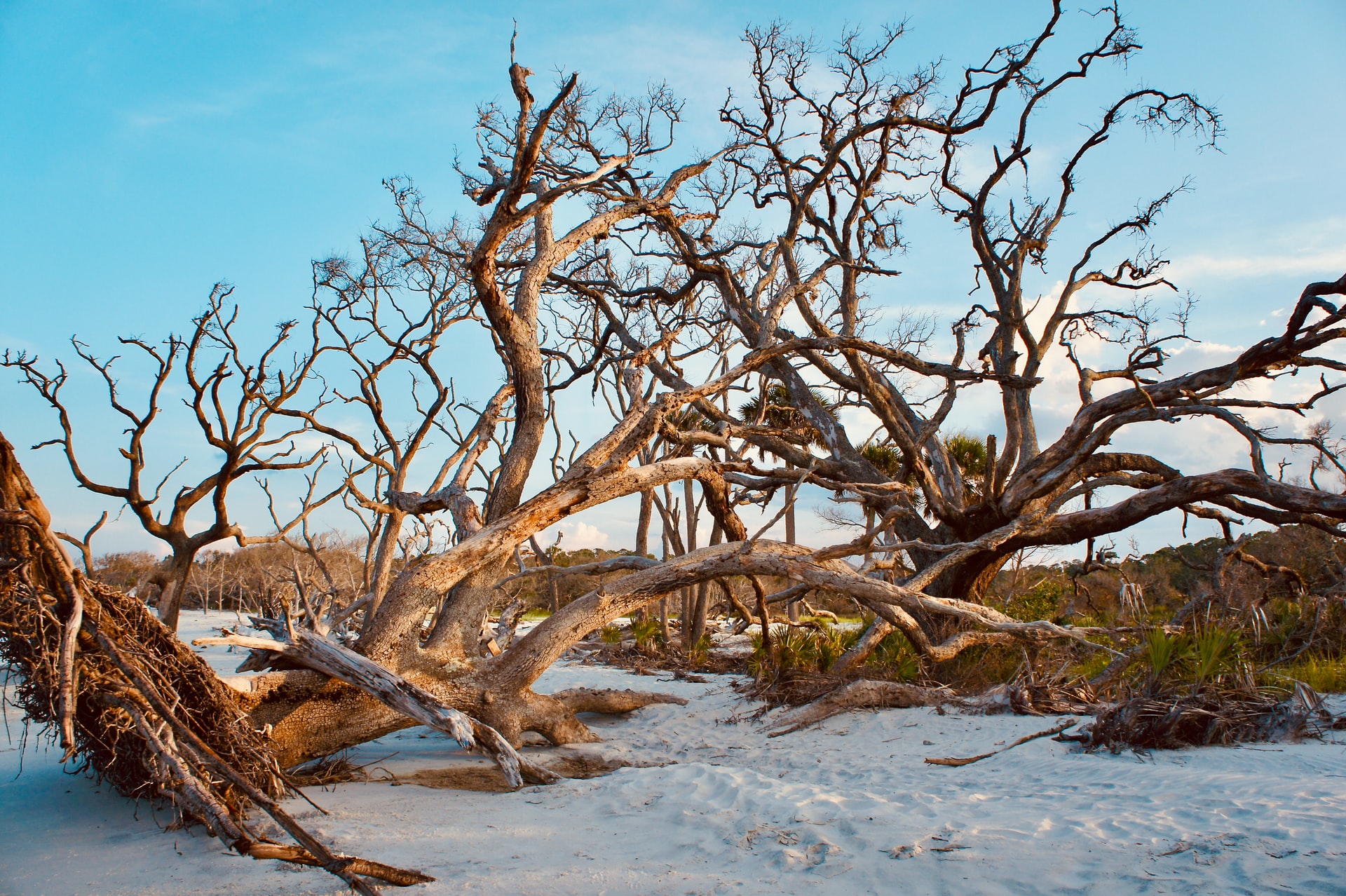 Jekyll Island